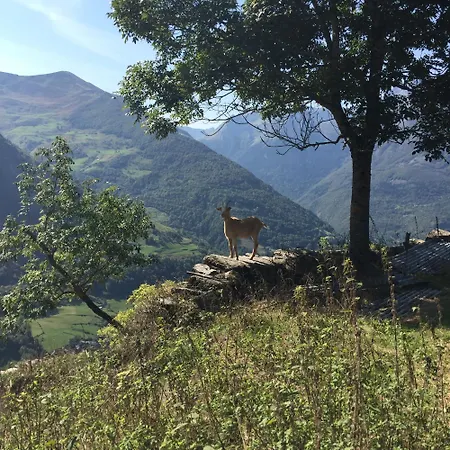 La Petite Maison Des Montagnes