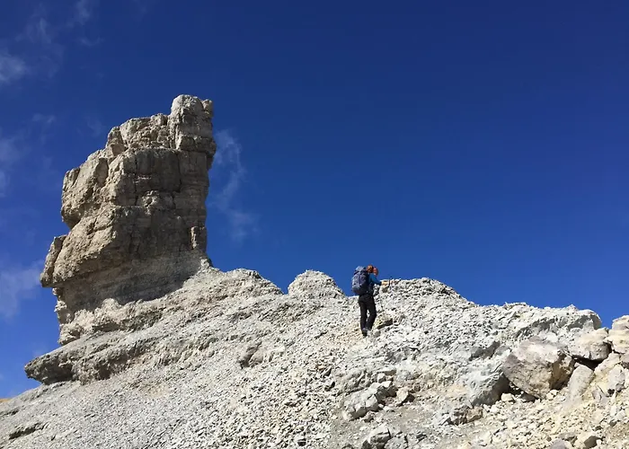 La Petite Maison Des Montagnes 뤼생소베르